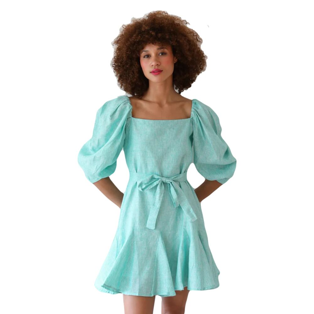 nwot MILLE Dress S Linen Stripe Green White A-Line Puff-Long-sl Lined Anais